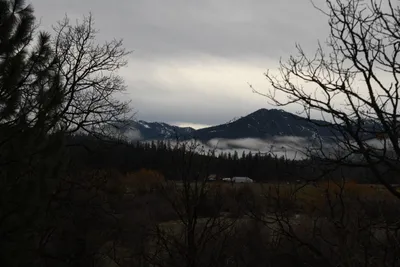 DSC_5764 (Large).JPG